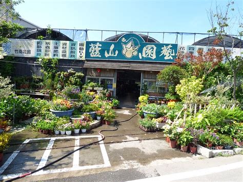 北部適合種什麼水果|藍山園藝